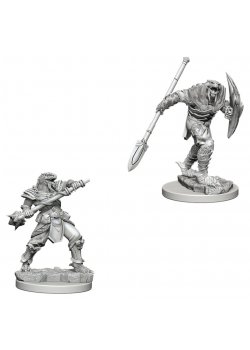 D&D Nolzur's Marvelous Unpainted Miniatures: Dragonborn Fighter with Spear